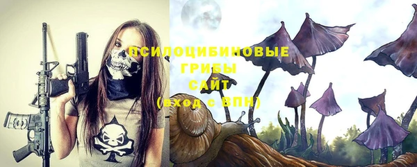 трава Касимов