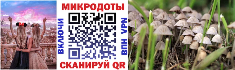 Псилоцибиновые грибы GOLDEN TEACHER  Купить  Асино 